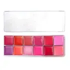 12 Colors Lipstick Palette Matte Shimmer Lip Gloss Palette Contouring Palette