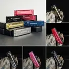 Metal Diatonic Harmonica Key of C Mouth Organ 10 Hole Harmonica Children