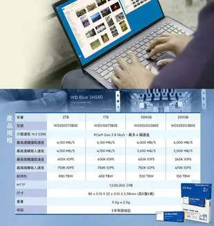 WD 藍標 SN580 1T 1TB 1T M.2 PCIe 4.0 NVMe SSD 固態硬碟
