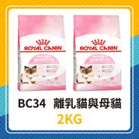 在飛比找蝦皮購物優惠-效期2025年1月🦊 皇家 BC34  離乳貓與母貓 2KG