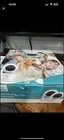 Eufy T8413121 Wireless Indoor Pan and Tilt 2K Security Surveillance Camera