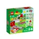 『現貨』LEGO 10882 Duplo-列車軌道 盒組 【蛋樂寶】