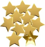 [Trainers Warehouse] Gold Star Lapel Pins - Set of 10 Classroom Achievement Pins