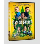 台聖出品 – 老闆好壞 DVD – 由莎莉賽隆、喬爾埃哲頓、亞曼達賽芙瑞主演 – 全新正版