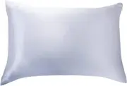Luxury Pillowcase - 100% Pure Mulberry Silk on Both Sides - Silver