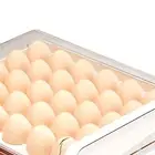 Egg Storage Box Refrigerator Drawer-type Kitchen Storage And Finishing Artifac