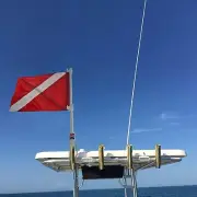 SPEARFISHING WORLD Boat Rod Holder Flag Flyer With Dive Flag