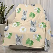AuHomea Cute Koala Kiwi Leaves Fleece Throw Blanket for Couch - Thick Fuzzy Warm Soft Dog Blankets and Throws for Sofa, Blanket 40x50 Inches