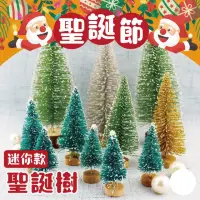 在飛比找momo購物網優惠-【2square shop】6入組 16cm 聖誕節迷你雪松