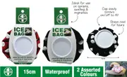 2 x Re-usable Ice Bag