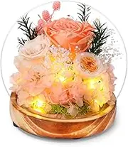 Preserved Rose Glass Dome Light, LED Illuminated Floral Arrangement with Hydrangea, Wooden Base,Roses Gifts for Women Mom Her Grandma on Mothers Day Birthday Valentines Day Christmas Thanksgiving
