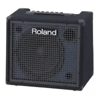 在飛比找momo購物網優惠-【ROLAND 樂蘭】100W 電子琴音箱(鍵盤音箱 喇叭)