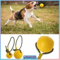 在飛比找蝦皮購物優惠-Pet Dog Training Toy Ball Dog 