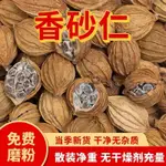 香砂仁 砂仁 川砂仁 香砂燉肉調料 金砂仁 沙仁鹵肉大料 鹵料 香料 正宗新貨香砂粉