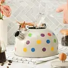 Whistling Kettle Household Tableware Teapot for Stovetop Induction Picnic