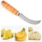 Fruit Knife Slicer Cutter Peeler Pineapple Mango Stainless Steel Wood Handle S