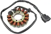 Motorcycle Magneto Stator Coil For 12317718420 S1000RR K46 2009-2017 S1000R K47 2014-2017 HP4 K42 2011-2014 S1000XR K49