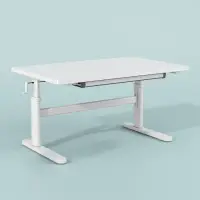 在飛比找momo購物網優惠-【HappyLife】學習升降書桌 帶抽屜 100公分 Y1
