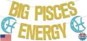 Big Pisces Energy Banner,Pisces Birthday Party Decorations,February March Bir