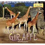 MEET THE GIRAFFE