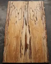 Curly spalted ink line maple drop top .37" thk guitar bass tonewood 2623