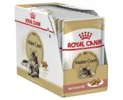 Royal Canin Adult Maine Coon in Gravy Wet Cat Food