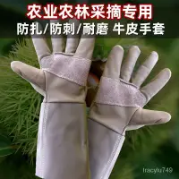 在飛比找蝦皮購物優惠-園藝手套 花藝手套 防刺手套 防紮手套 月季玫瑰專用防刺手套