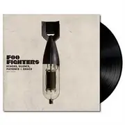 Echoes, Silence, Patience & Grace (Vinyl)