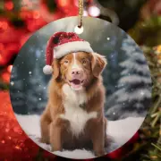 Cute Nova Scotia Duck Tolling Retriever Dog Santa Winter Christmas Ornament Gift