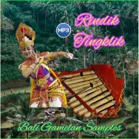 在飛比找蝦皮購物優惠-卡帶 MP3 GAMELAN BALI 卡帶 MP3 歌曲樂