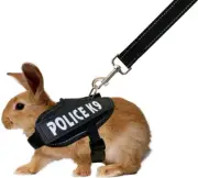 Rabbit Harness with Leash for Bunny Rabbits Cats Small Animals (Black)