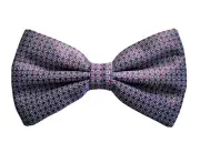 ️ NEW Authentic BRIONI Burgundy Blue 100% SILK Men's Pre-Tied BOW TIE