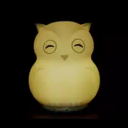 Duski Dream Guardian: Owl