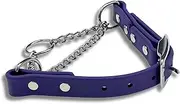 JIM HODGES DOG TRAINING Martingale Collar for Dogs, Biothane, Stainless Steel Hardware, No Pull, Made in The USA, Professional Grade, XXS, Purple