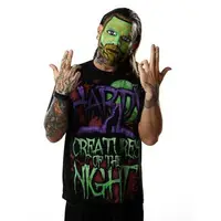 在飛比找蝦皮購物優惠-☆阿Su倉庫☆WWE摔角 TNA Jeff Hardy Cr