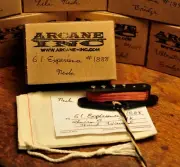 Arcane Inc. 61 Experience Strat Set Guitar pickup