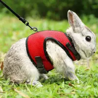 在飛比找蝦皮購物優惠-兔子雪貂荷蘭豬天竺鼠牽引帶 寵物小寵牽引繩兔子衣服