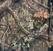 MOSSY OAK BREAK UP COUNTRY 1200D COATED CORDURA DWR FABRIC BY 1/2(0.5) YARD 60"W