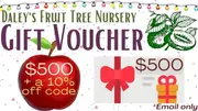 $500 Christmas Gift Fruit Tree Gift Voucher with 10% Offer Code