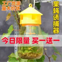 在飛比找蝦皮購物優惠-台出貨 果蠅誘捕器🌈 果蠅誘捕器園林瓜棚誘引果蠅針蜂瓶果蠅誘