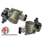 AFI Throttle Body Assembly - TB1250