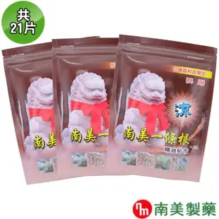 【南美製藥】南美一條根精油貼布(3入組)