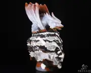 7.7" Black Zebra Agate Hand Carved Fairy Elf Alien Crystal Skull with Dragon