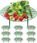 10PCS Gardening Strawberry Support Rack 11.8 X 3.9 Inches, Planting Support Tool