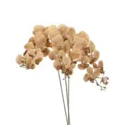 3Pcs 41" 9 Heads Artificial Orchid Stems Faux Phalaenopsis, Khaki