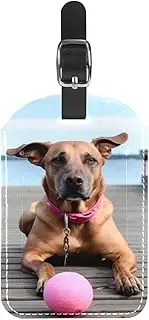 [YTYVAGT] Luggage Tag,Luggage Tags for Suitcases,Backpack Suitcase Tags,1-Pc,Autumn Brown Dog Ball