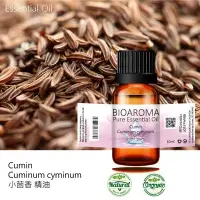 在飛比找Yahoo!奇摩拍賣優惠-【芳香療網】Cumin - Cuminum cyminum 