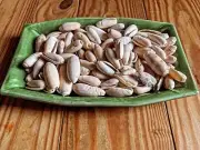 100 Imperfect Lettered Olive Sea Shells Sanibel Florida S-M Crafts Jewelry Lot