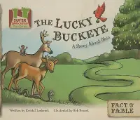 在飛比找博客來優惠-Lucky Buckeye: a Story About O