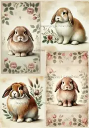 Flopsy Bunny | A4 Rice Paper | Paper for Decoupage | Decoupage Creatives